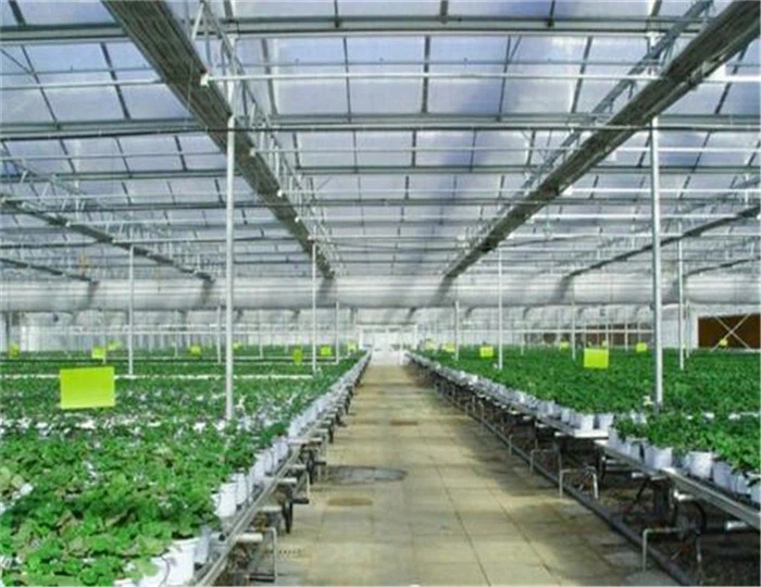 Hydroponics Greenhouse