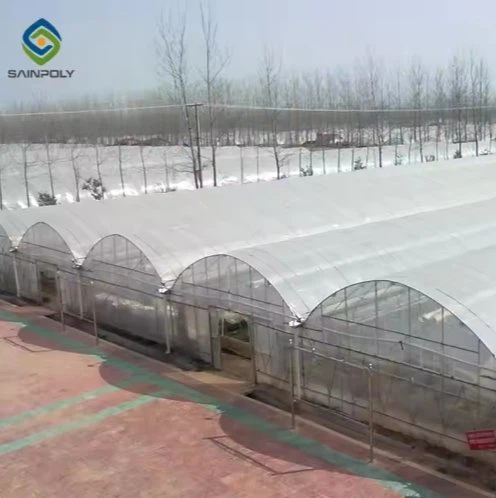 Poly Film Greenhouse