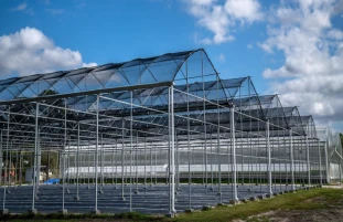product-311-201