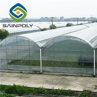 Rumah Kaca Film Plastik Tomat