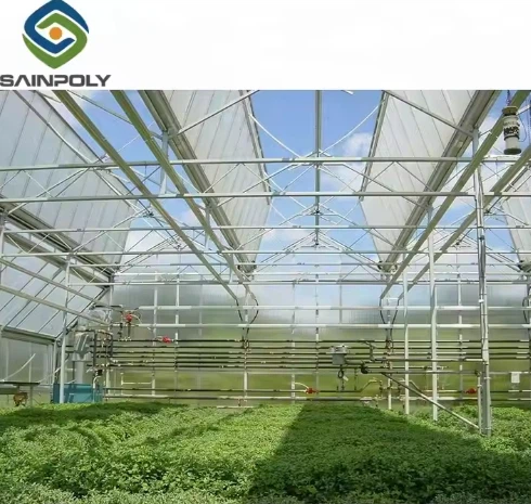 Vegetables Hydroponic Greenhouse