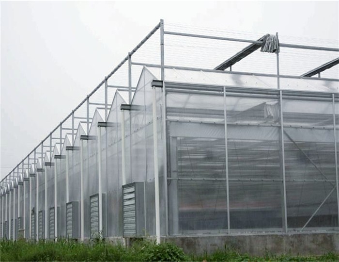 Venlo Greenhouse